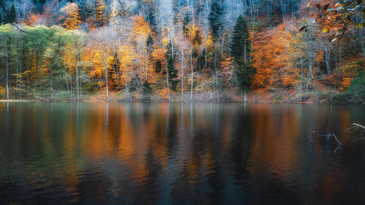 Озеро Батети на фоне деревьев осенью
