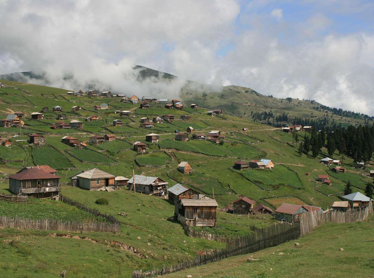 beshumi-adzhariya-01.original