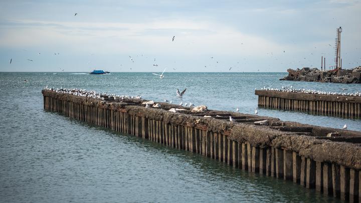 Poti – the Sea Gate of Georgia