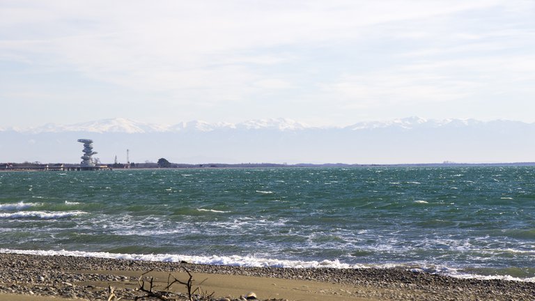 Эксперты подтверждают: Черное море в Грузии остается безопасным для отдыха