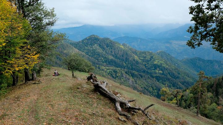 Borjomi-Kharagauli National Park