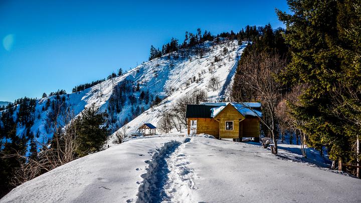 Зимняя сказка Боржоми. Пеший поход в Харагаульский лес