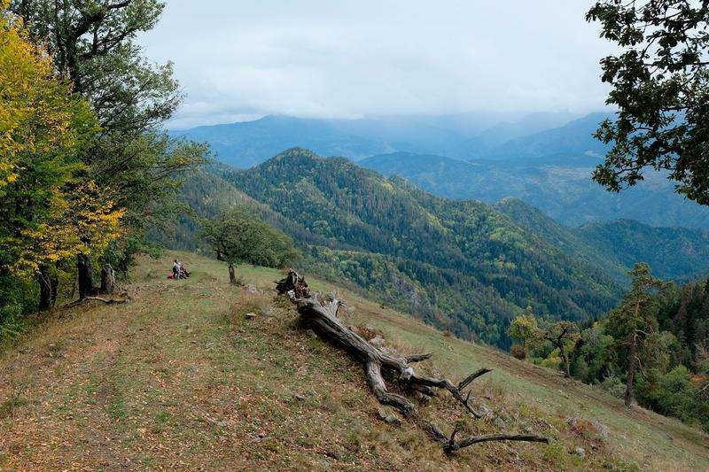 Borjomi-Kharagauli Park