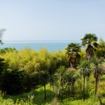 Батумский ботанический сад получает туристический "Оскар" на церемонии World Travel Awards