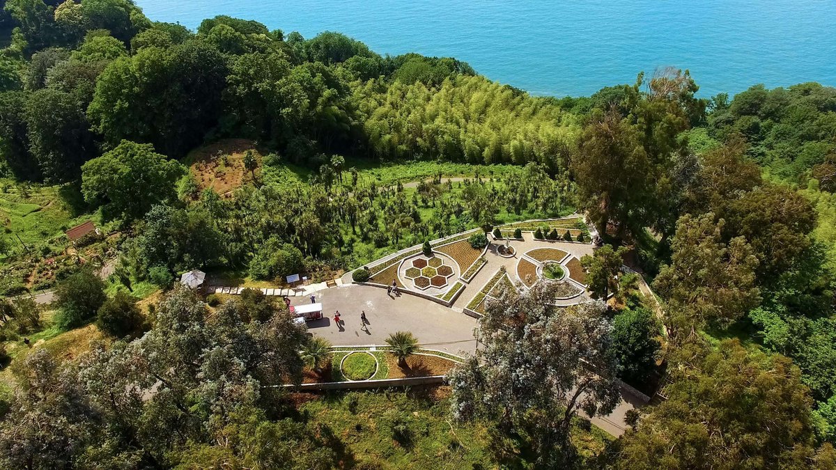 botanical-garden-in-batumi.original