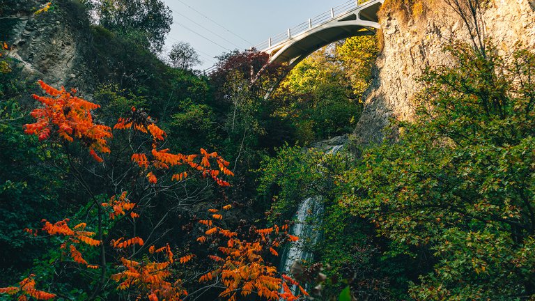 Tbilisi Botanical Garden