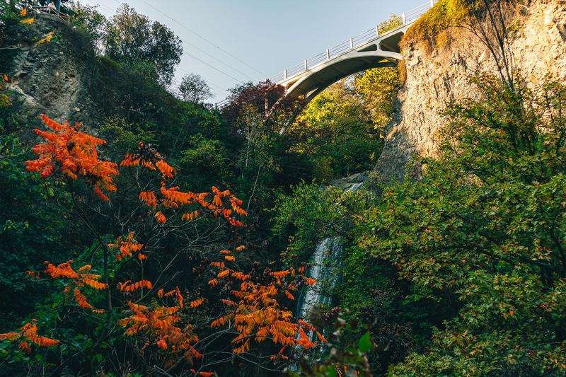 Botanical Garden in Tbilisi