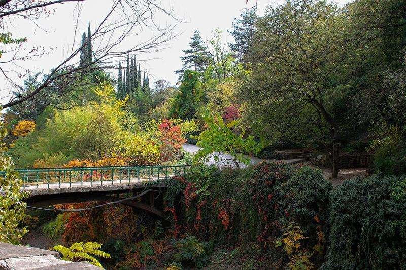 Inside the Botanical Garden in Tbilisi