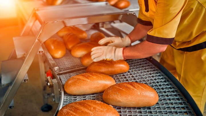 Fibo Breads