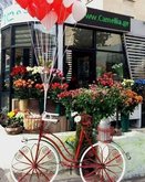 Camellia Online Flower Shop
