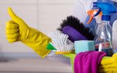 Disinfection Service 2010