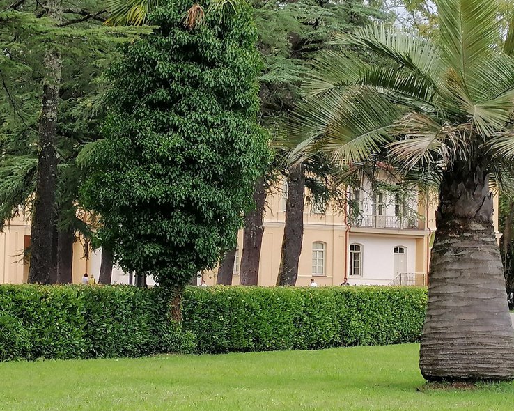 Ботанический сад историко-архитектурного музея Дадиани