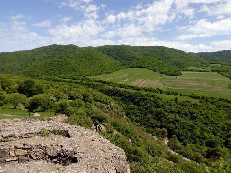Dmanisi