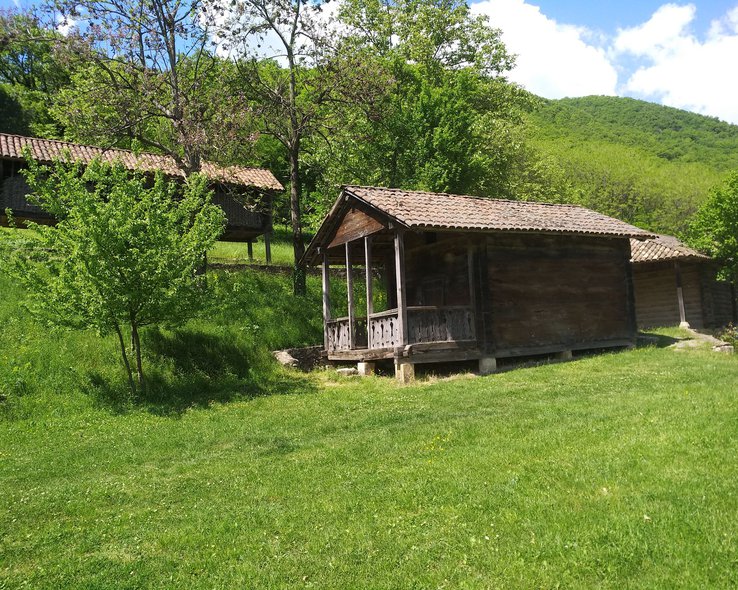 Территория родового поместья Церетели в Грузии