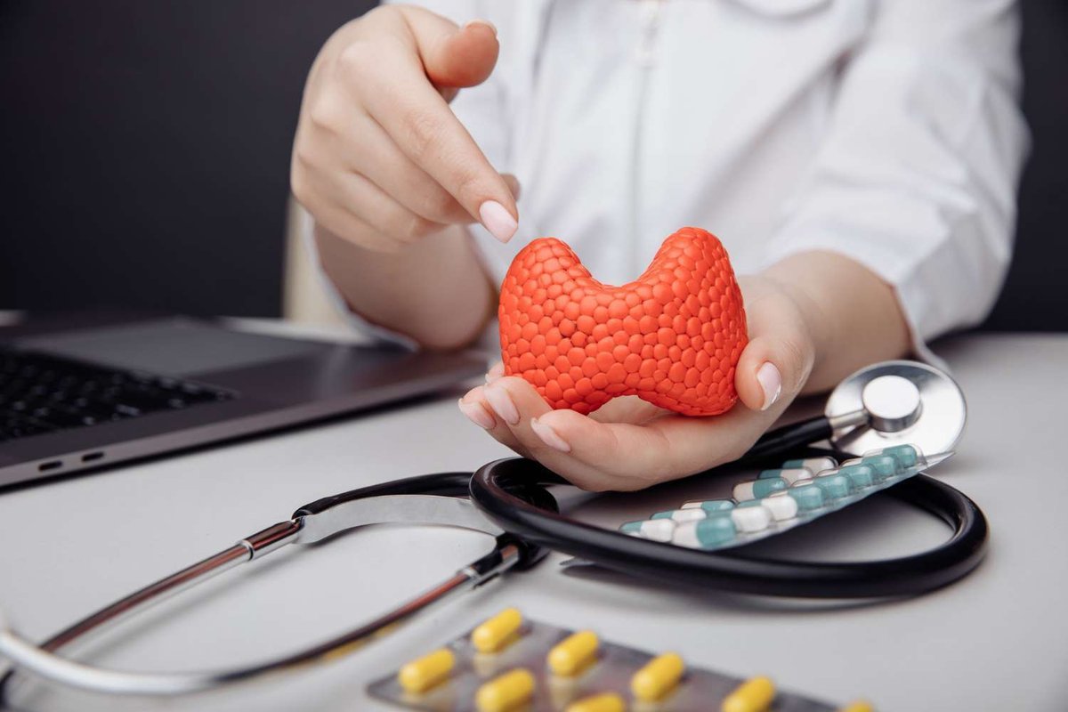 endokrinolog_derzhit_v_rukakh_model_shchitovidn.original