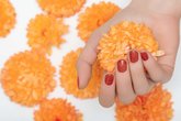 Sniers Nails