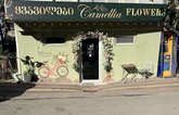 Camellia
