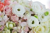 Flowers in Batumi. Flower shop "Donna Flora"