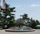 Фонтан "Древо Жизни"