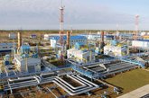 Phasis Oil