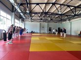 Georgian Jiu-Jitsu Federation
