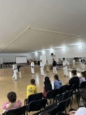 Georgian Jiu-Jitsu Federation