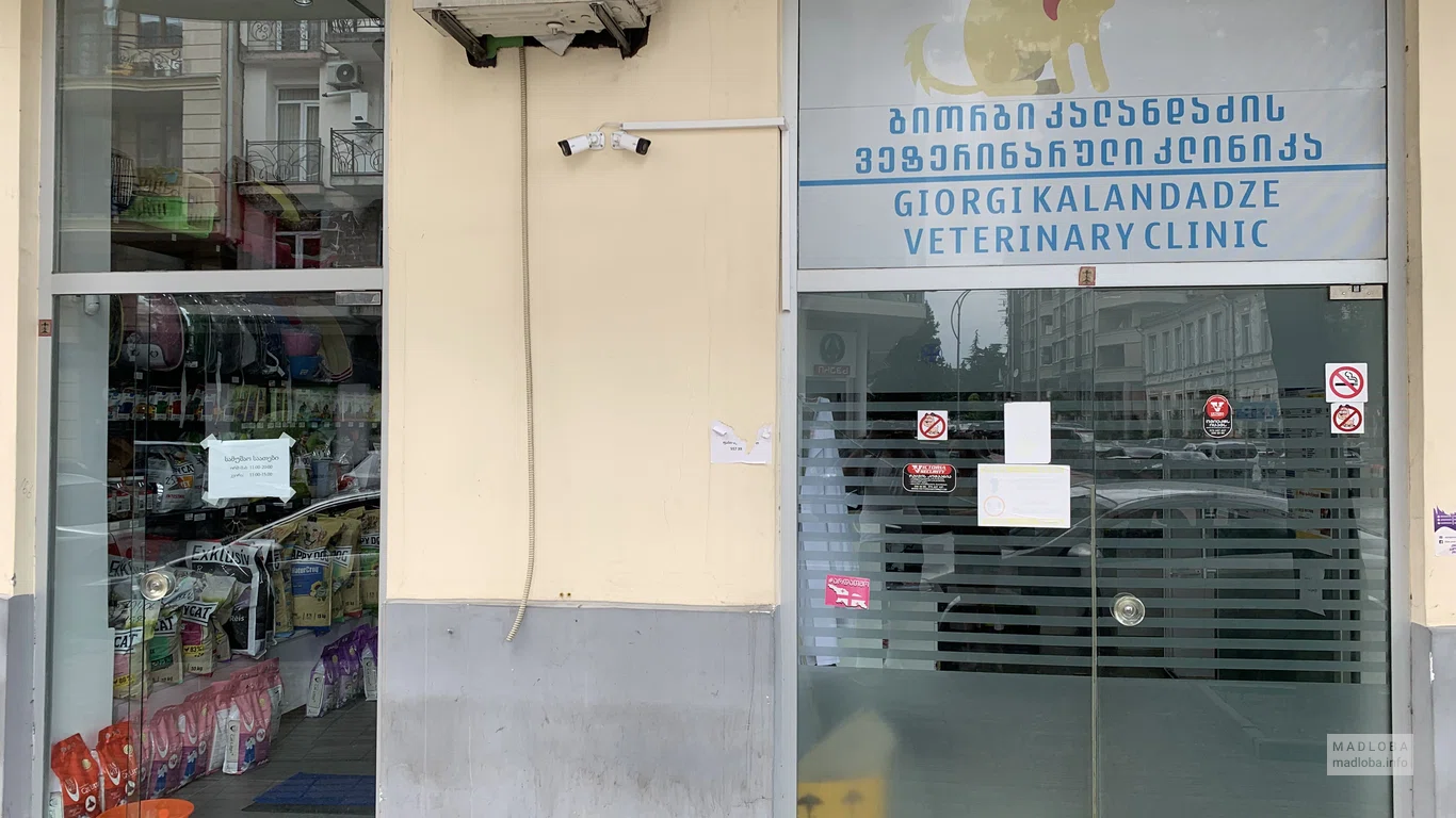 Вход в ветеринарный магазин Giorgi Kalandadze