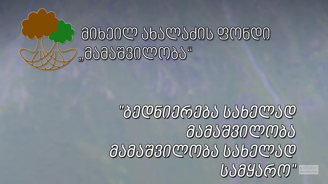 Грузинский центр духовности и культуры «Мамашвилиоба» в Сагурамо