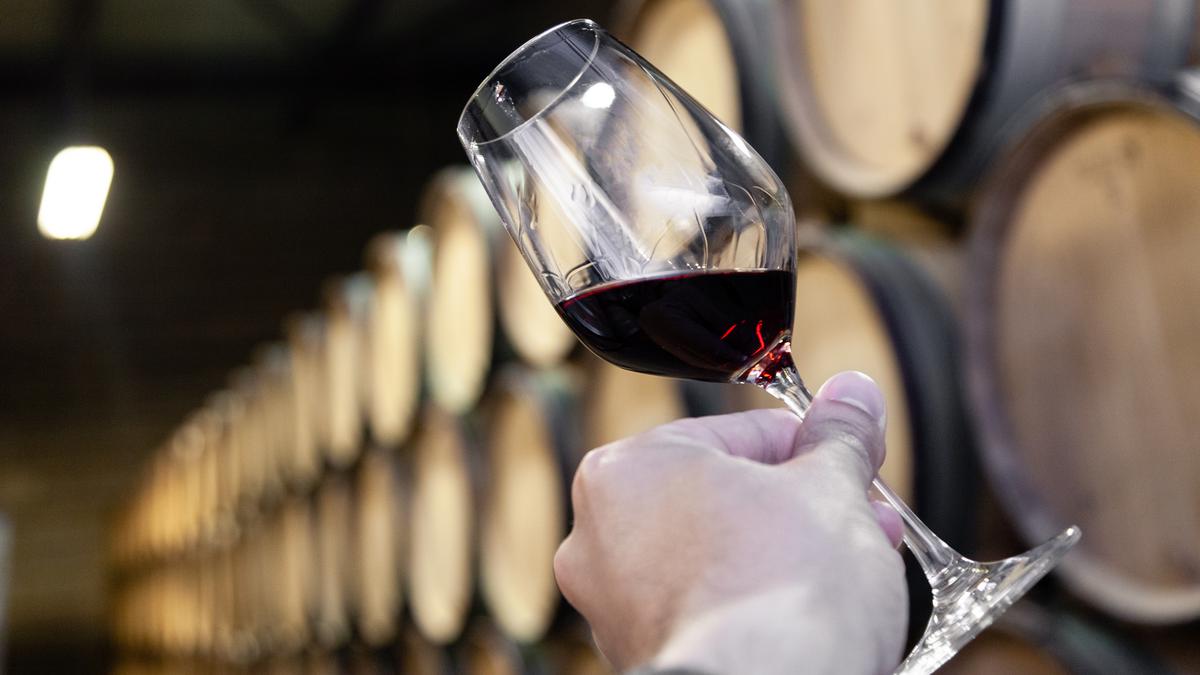 Рука крупным планом с бокалом красного вина на фоне деревянных бочках