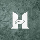 ჰილს დეველოპმენტი