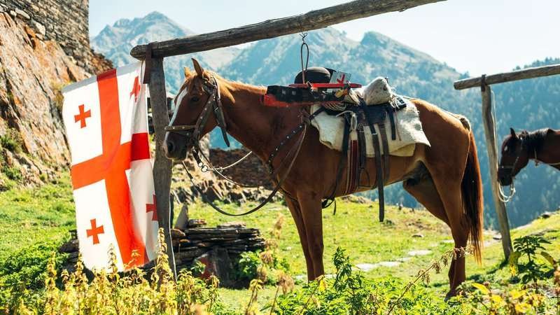 A horse next to a Georgian flag