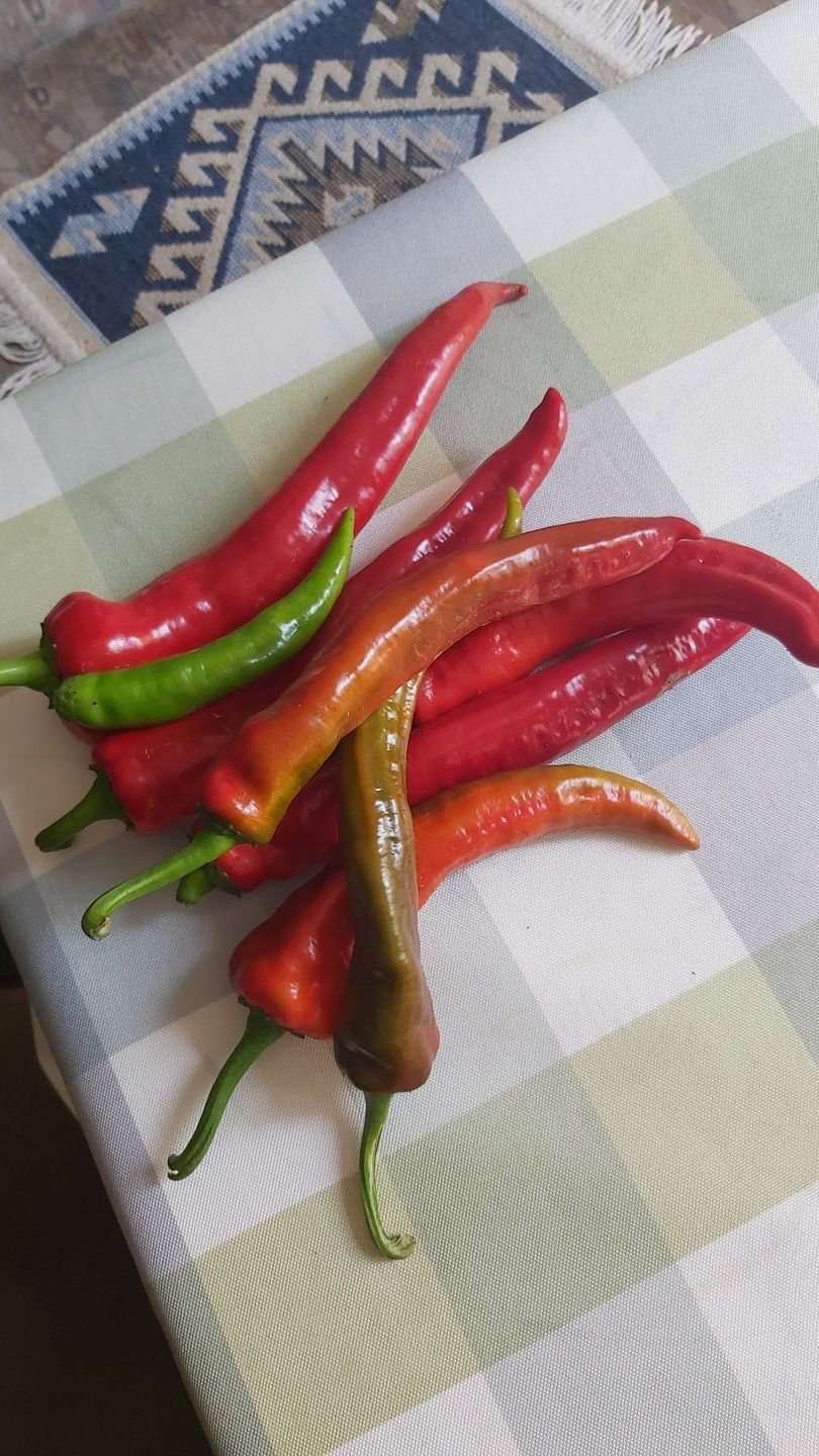 hot pepper