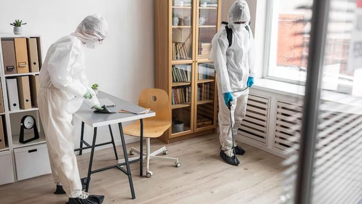 How you can get rid of fleas in the apartment