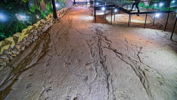 Imereti Cave Complex - Dinosaur Footprints