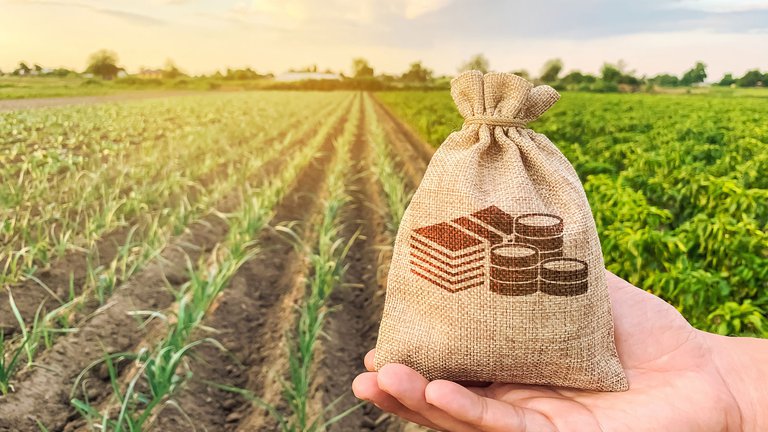 Министерство сельского хозяйства Грузии инвестирует 7 миллиардов лари в развитие сектора