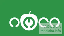 Лого магазина Иоли в Грузии