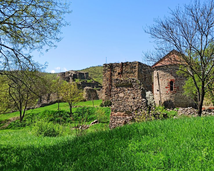 Крепость Дманиси в Грузии
