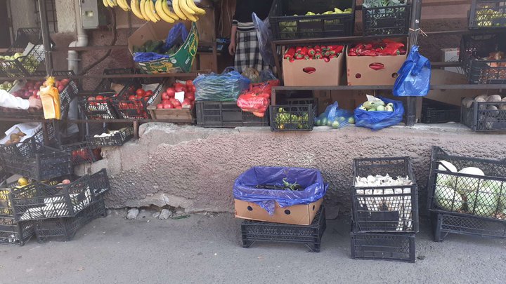 Fruit Garden