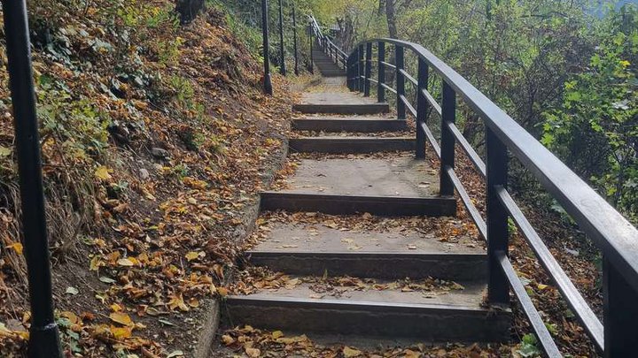 Stairs in the park