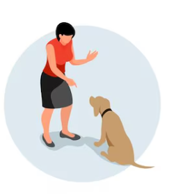 ძაღლებისა და კატებისთვის: სკოლები, კლუბები, სასტუმროები