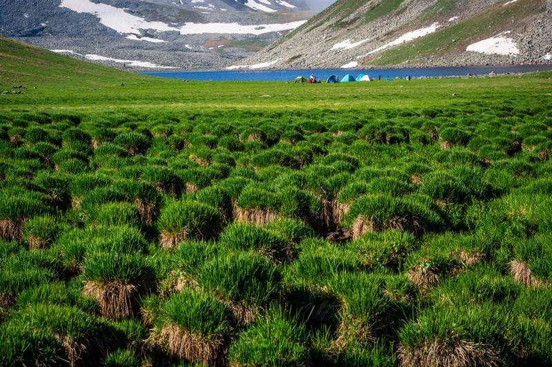 swamps of Javakheti