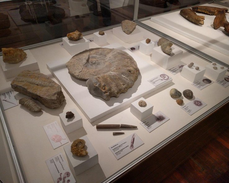 Древние археологические материалы музея в Мартвили