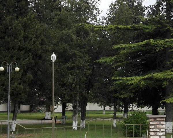 Территория краеведческого музея Сагареджо
