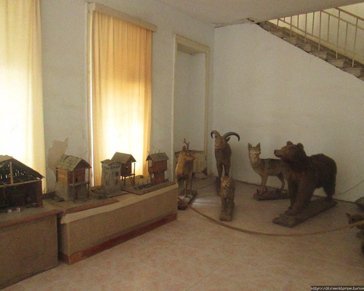 Чучела животных в краеведческом музее в Они
