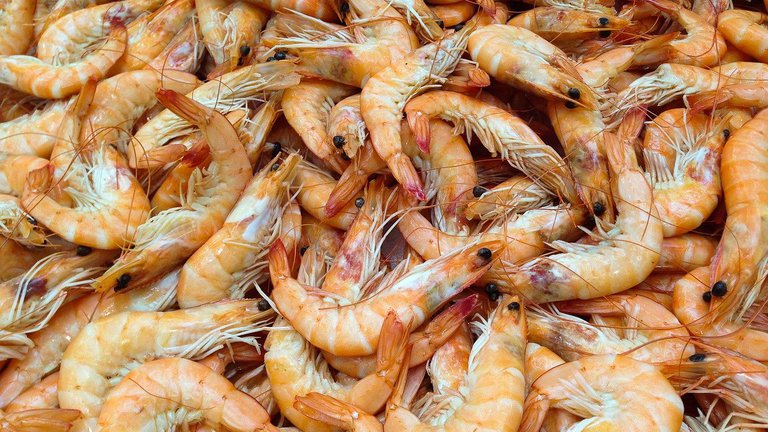 Georgia will become a supplier of shrimp and oysters