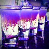 Bar Laboratory_batumi (hookah)