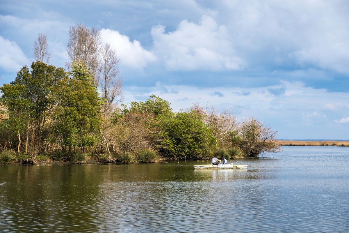 Озеро Палиастоми а Колхидском национальном парке