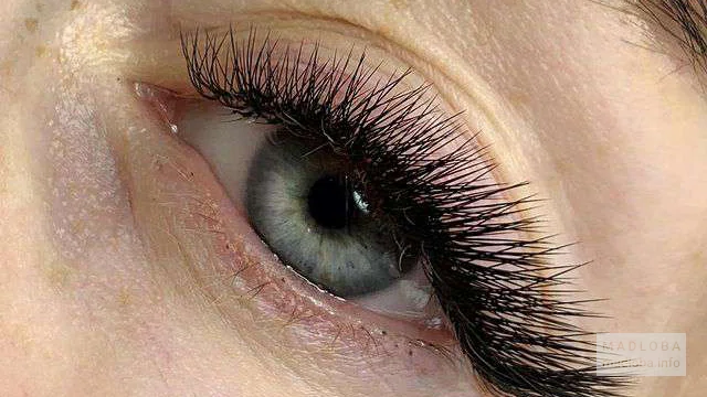 Lashlogovo beauty salon eyelash extensions