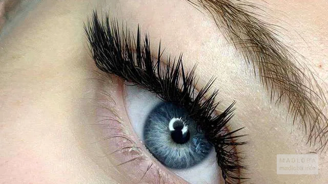 Lashlogovo beauty salon eyelash extensions