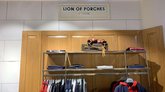 Lion Of Porches Georgia